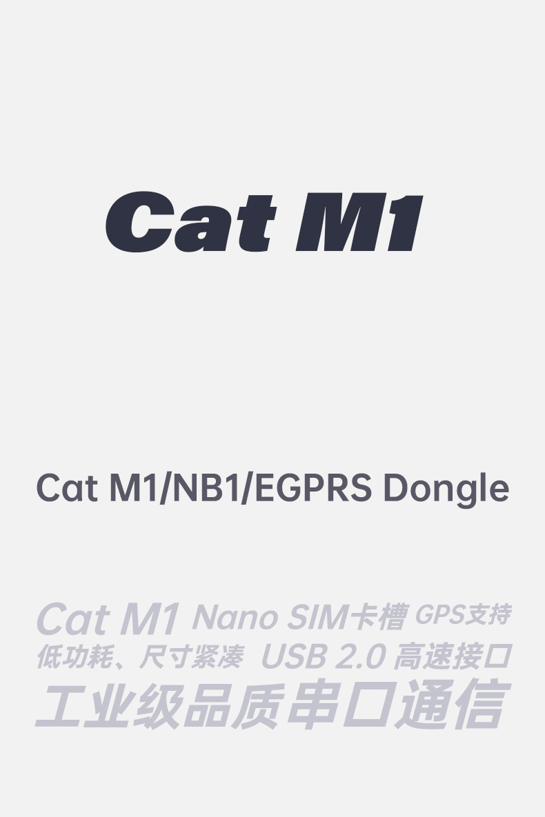 正面
